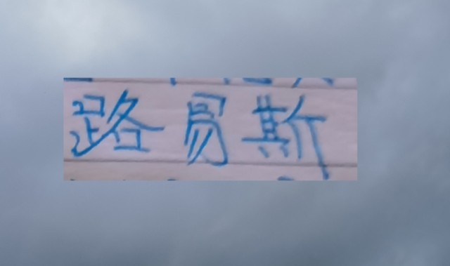 开云体育-想不到！没有被申花续约路易斯 回到巴西第二场比赛就进球